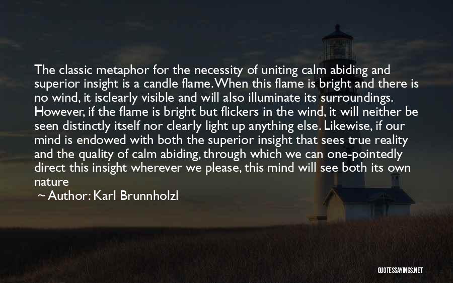 Superior Mind Quotes By Karl Brunnholzl