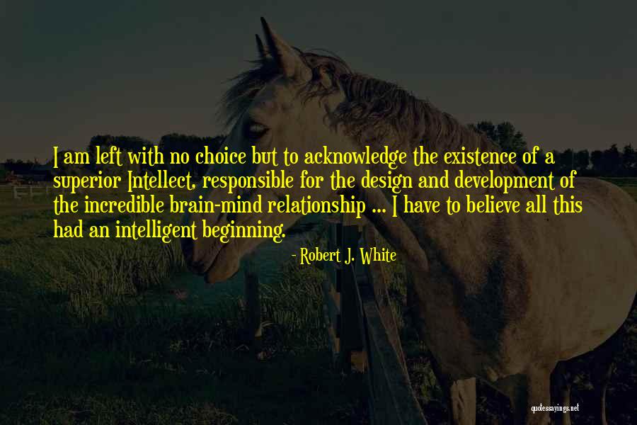 Superior Mind Quotes By Robert J. White