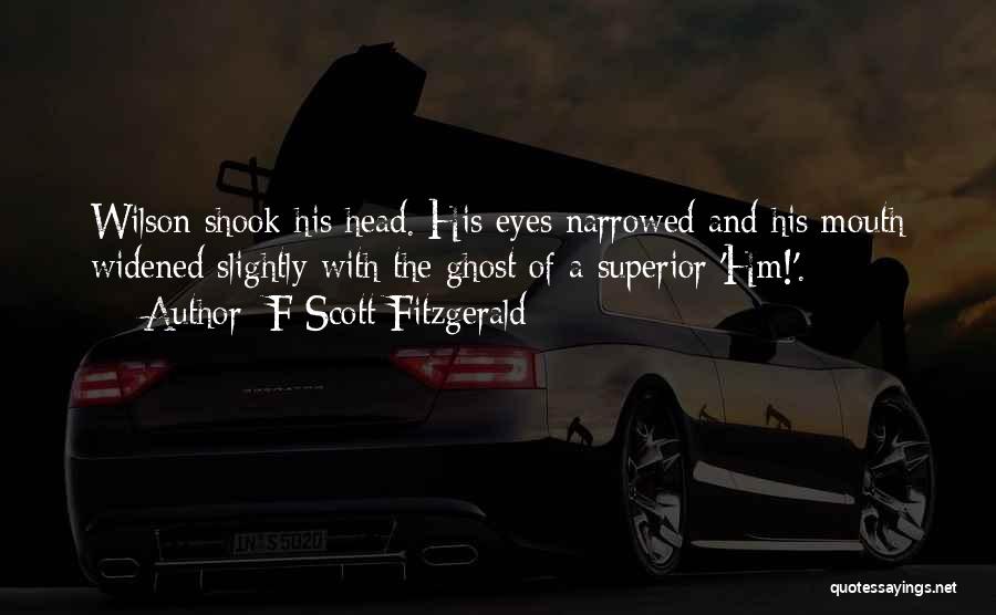 Superior Quotes By F Scott Fitzgerald