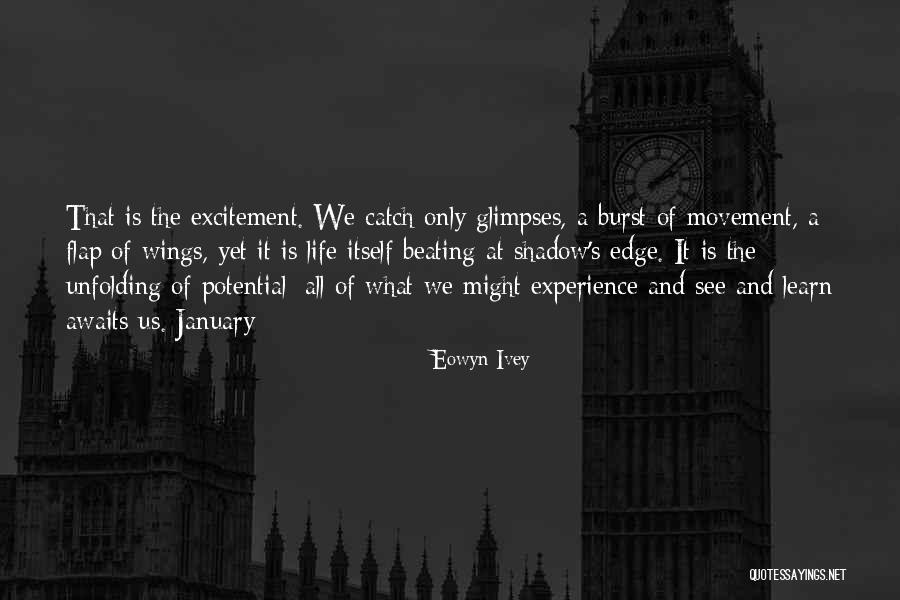 Superiores Halloween Quotes By Eowyn Ivey Superiores Halloween Quotes By Eowyn Ivey