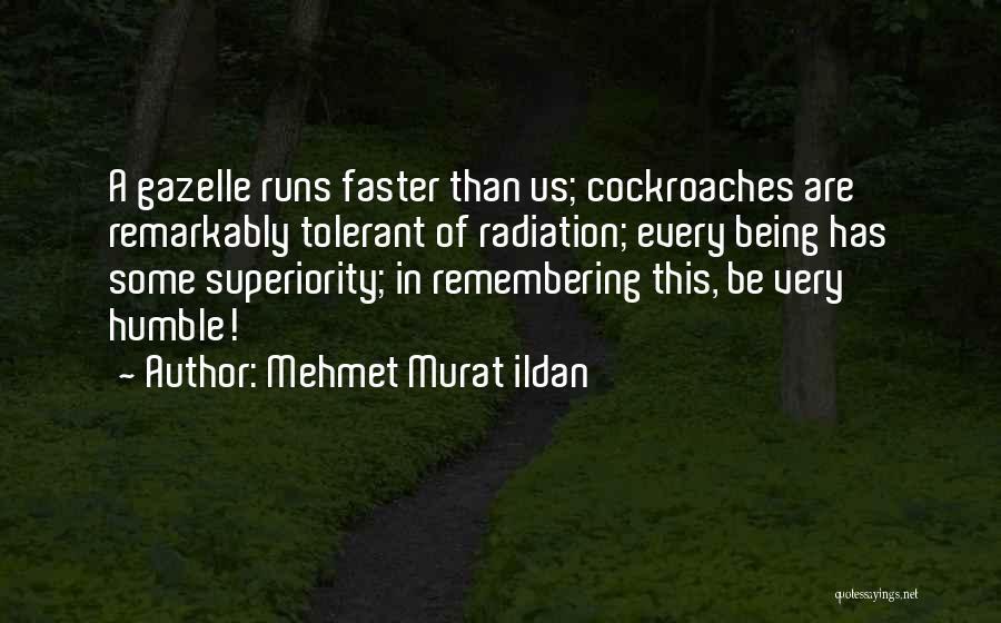 Superiority Quotes By Mehmet Murat Ildan