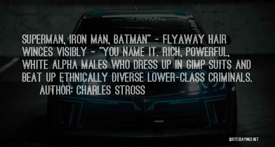 Superman And Batman Quotes By Charles Stross