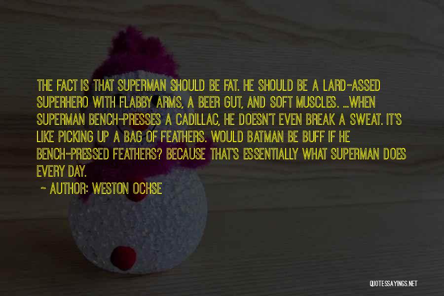 Superman And Batman Quotes By Weston Ochse