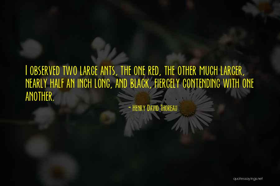 Supernal Face Quotes By Henry David Thoreau Supernal Face Quotes By Henry David Thoreau