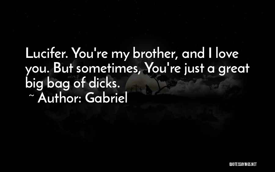 Supernatural Brother Quotes By Gabriel