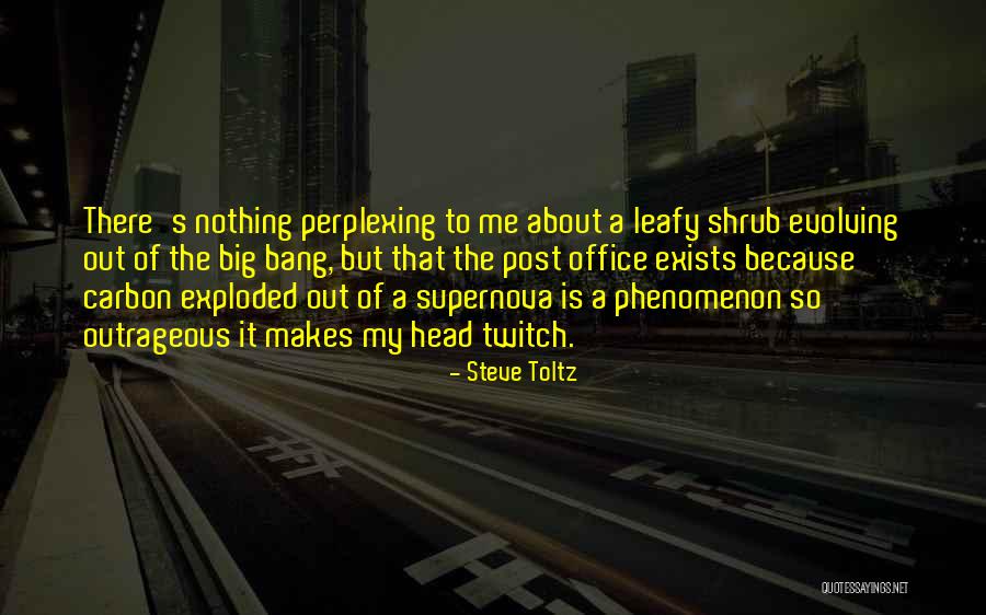 Supernova Quotes By Steve Toltz Supernova Quotes By Steve Toltz