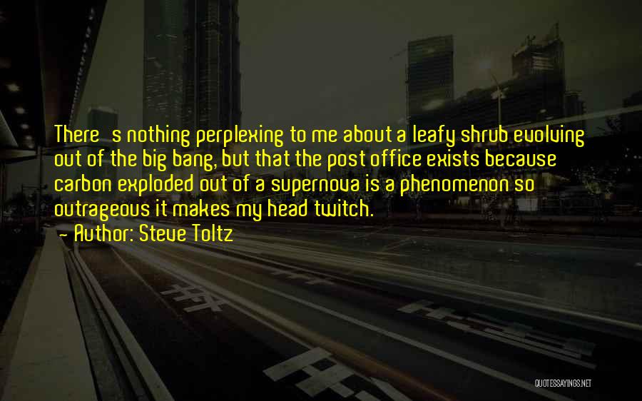 Supernova You Quotes By Steve Toltz