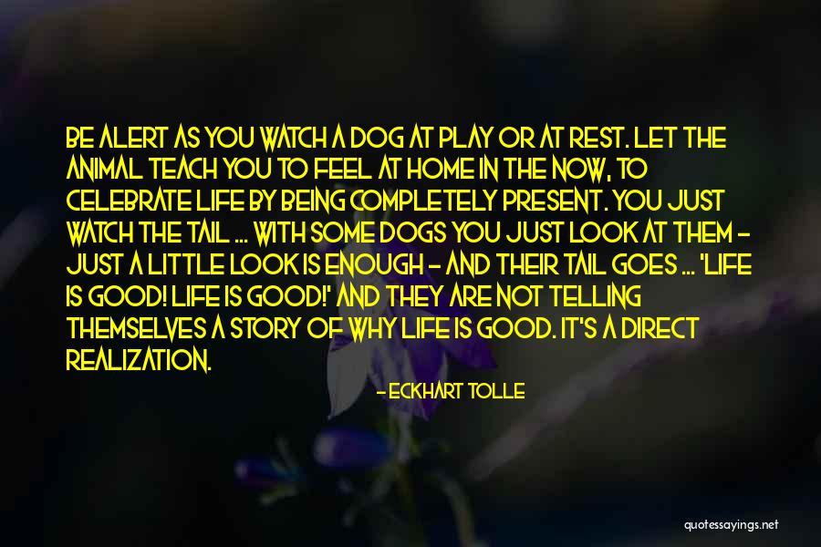 Superordinate And Subordinate Quotes By Eckhart Tolle Superordinate And Subordinate Quotes By Eckhart Tolle