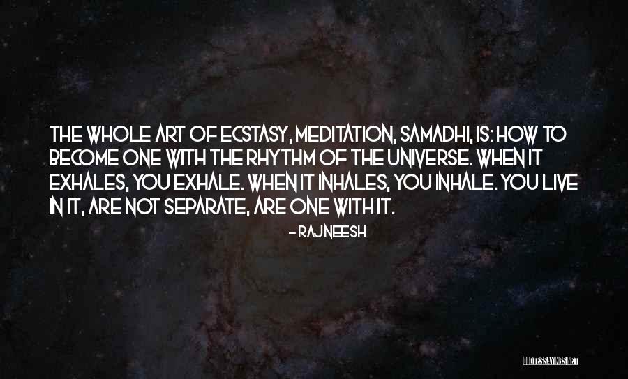 Superordinate Goals Quotes By Rajneesh Superordinate Goals Quotes By Rajneesh