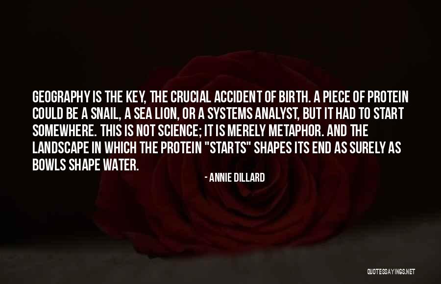Superpedestrian Careers Quotes By Annie Dillard Superpedestrian Careers Quotes By Annie Dillard