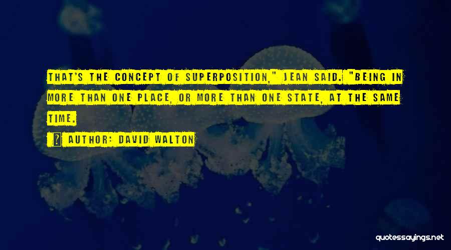 Superposition Quotes By David Walton