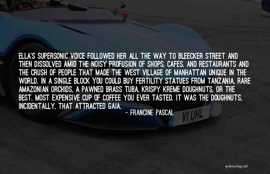 Supersonic Quotes By Francine Pascal