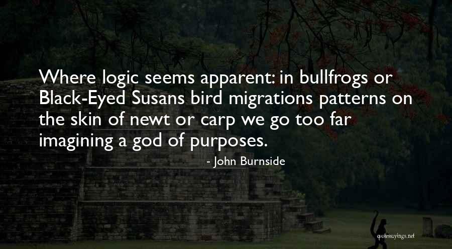 Supersticion Del Quotes By John Burnside Supersticion Del Quotes By John Burnside