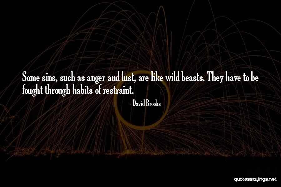 Superstition And Ritual In American Quotes By David Brooks Superstition And Ritual In American Quotes By David Brooks