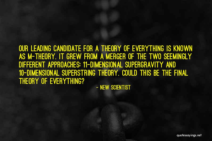 Superstring Theory Quotes By New Scientist