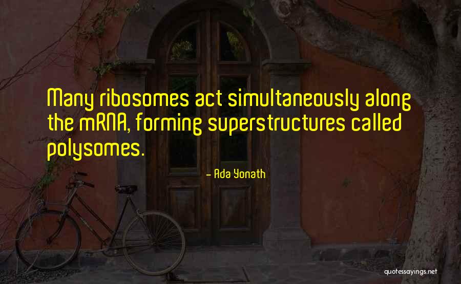 Superstructures Inc Quotes By Ada Yonath Superstructures Inc Quotes By Ada Yonath