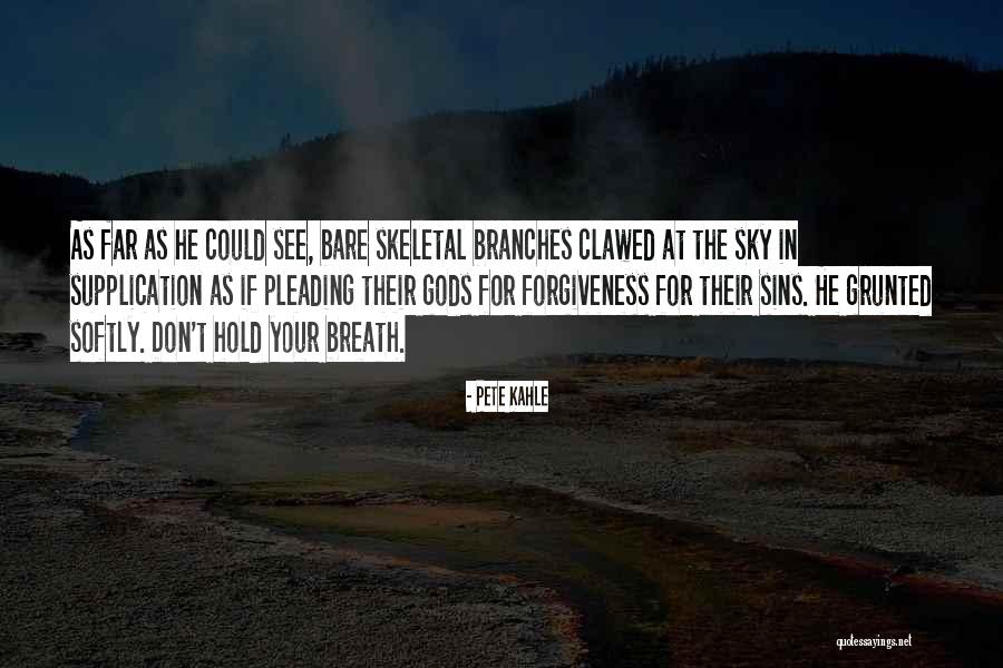 Supervielle Banco Quotes By Pete Kahle Supervielle Banco Quotes By Pete Kahle
