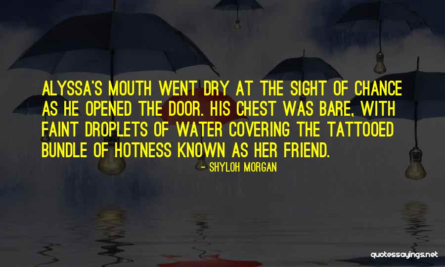 Supervolcano 2020 Quotes By Shyloh Morgan Supervolcano 2020 Quotes By Shyloh Morgan