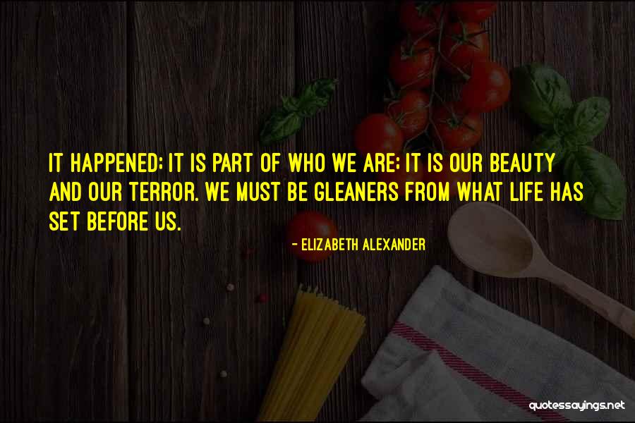 Supplemented Examples Quotes By Elizabeth Alexander Supplemented Examples Quotes By Elizabeth Alexander