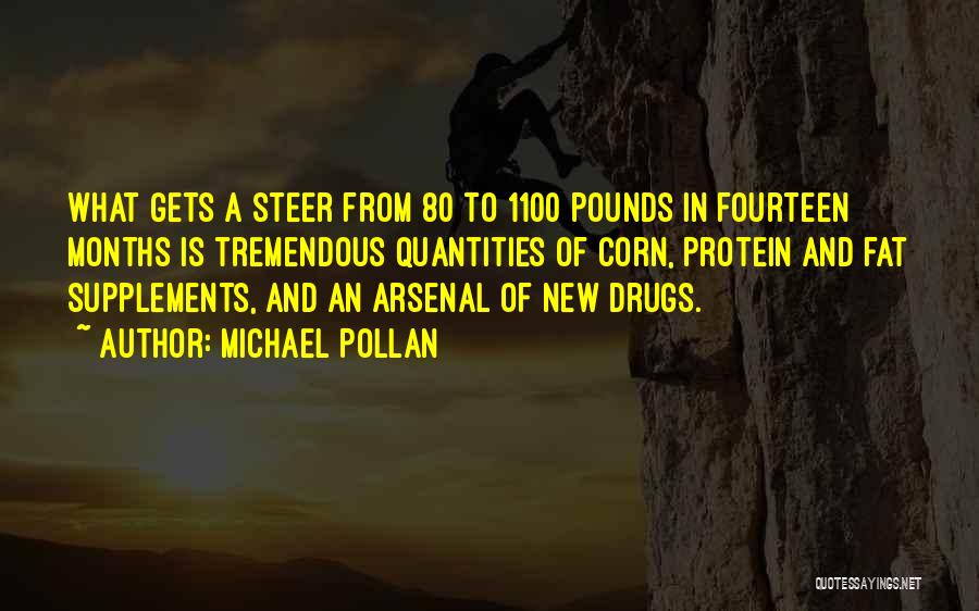Supplements Quotes By Michael Pollan