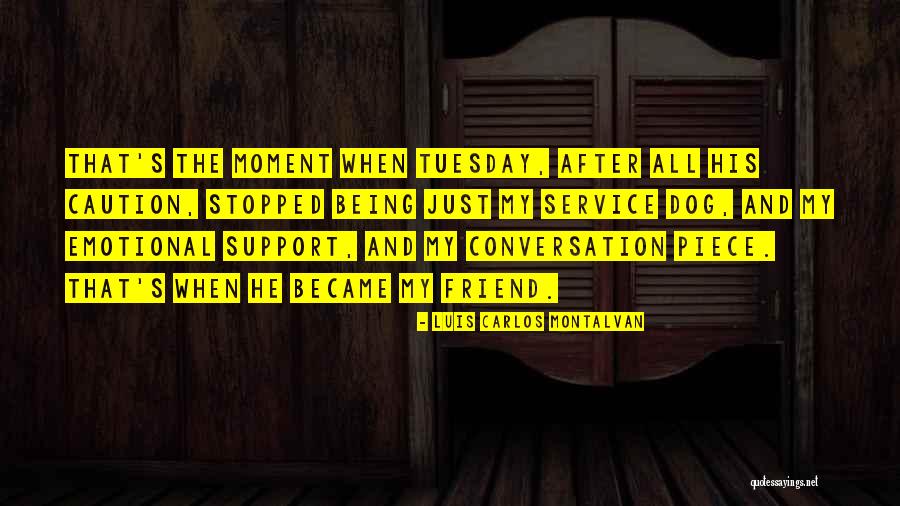 Support Dog Quotes By Luis Carlos Montalvan Support Dog Quotes By Luis Carlos Montalvan