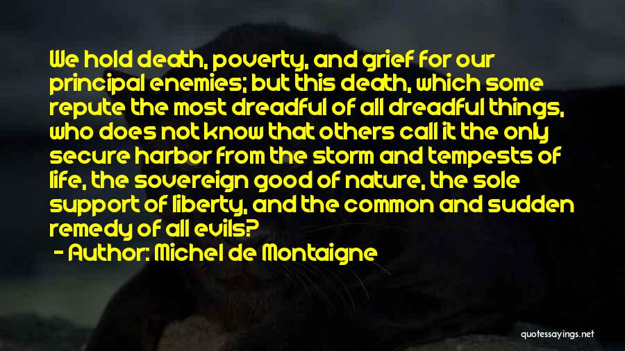 Support For Others Quotes By Michel De Montaigne