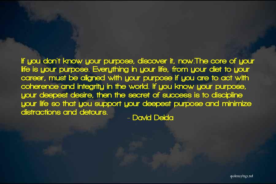 Support In Your Life Quotes By David Deida Support In Your Life Quotes By David Deida