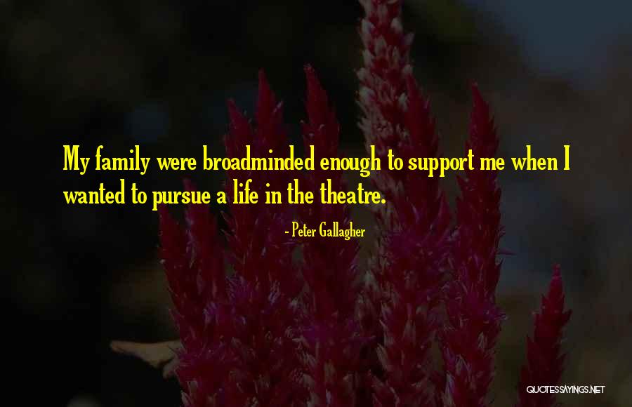 Support My Family Quotes By Peter Gallagher Support My Family Quotes By Peter Gallagher