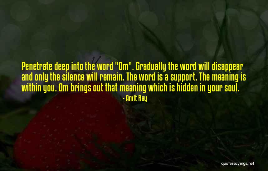 Support Quotes Quotes By Amit Ray
