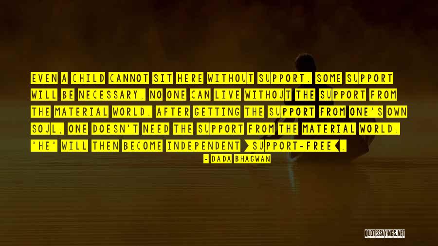 Support Quotes Quotes By Dada Bhagwan