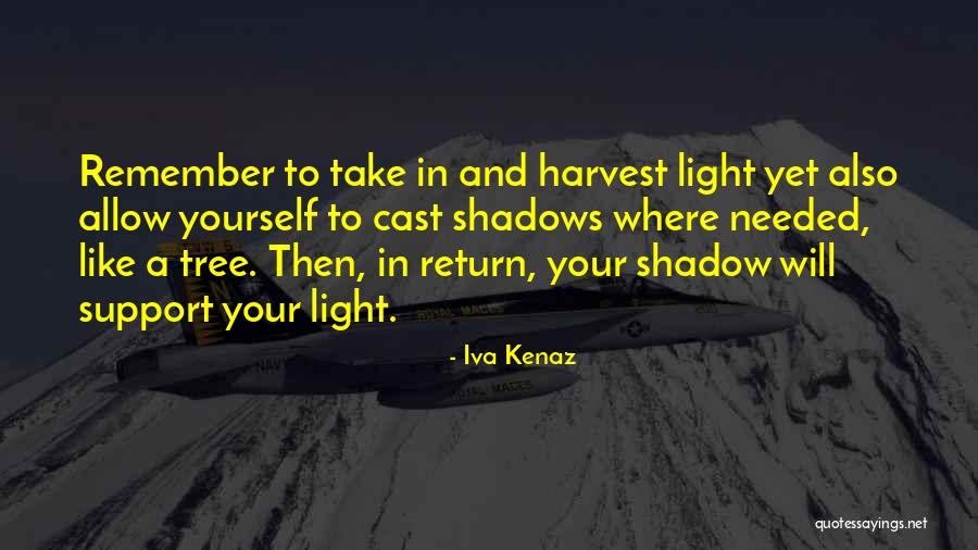 Support Quotes Quotes By Iva Kenaz