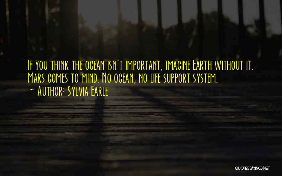 Support System Quotes By Sylvia Earle