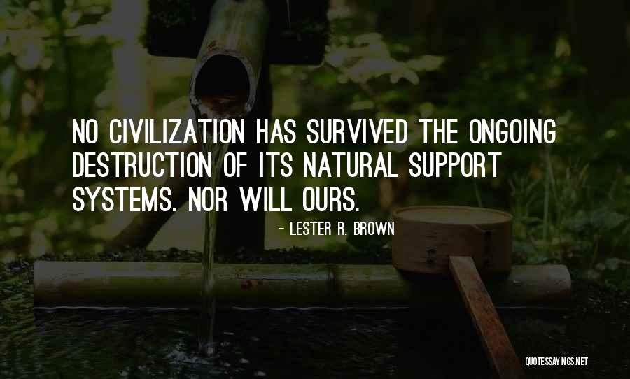 Support Systems Quotes By Lester R. Brown