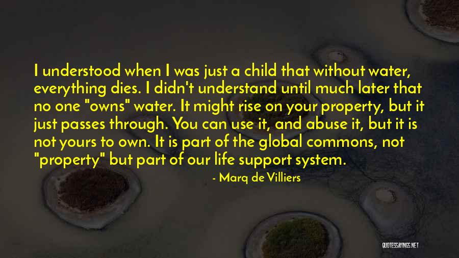Support Systems Quotes By Marq De Villiers