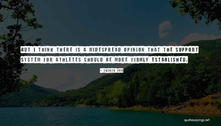 Support Systems Quotes By Shinzo Abe