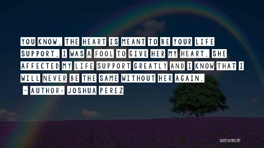 Support Your Love Quotes By Joshua Perez