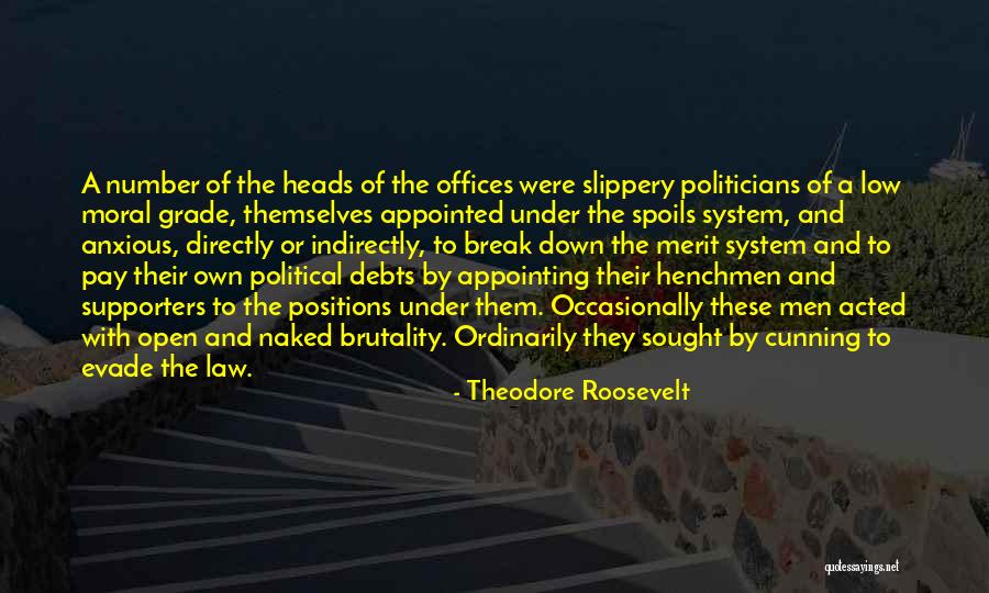 Supporters Quotes By Theodore Roosevelt