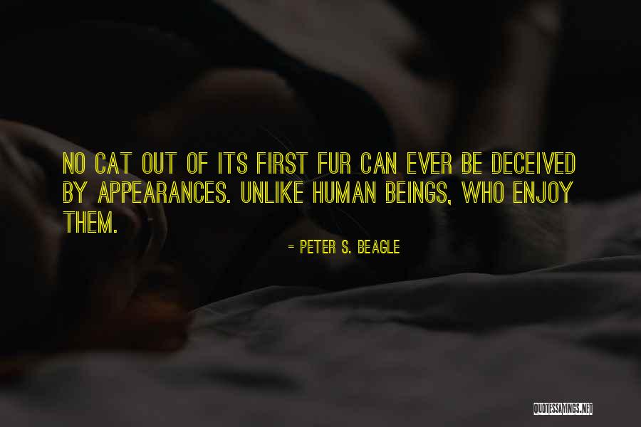 Suppose A Kid From The Last Dungeon Boonies Moved To A Starter Town Quotes By Peter S. Beagle Suppose A Kid From The Last Dungeon Boonies Moved To A Starter Town Quotes By Peter S. Beagle