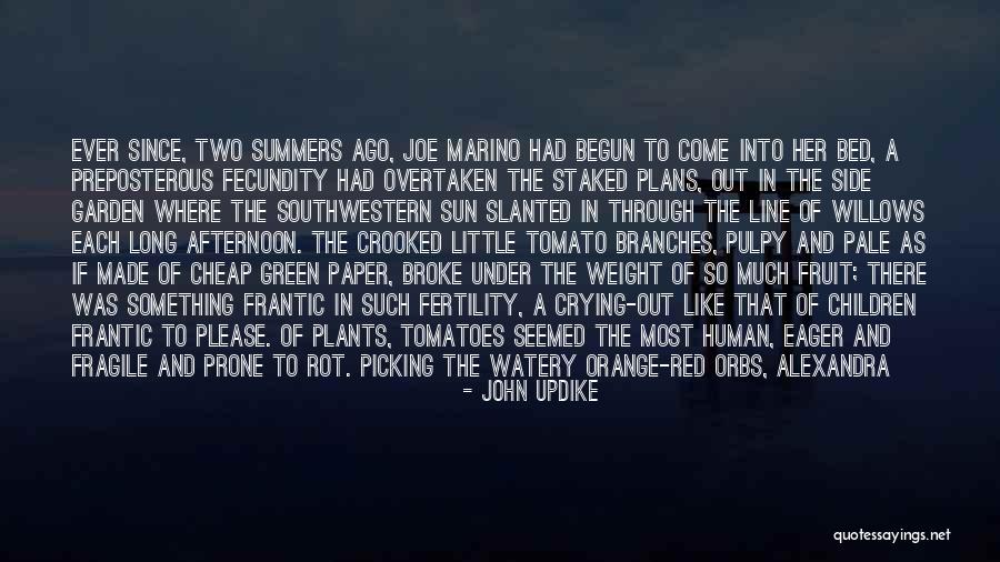 Supposedly In Spanish Quotes By John Updike Supposedly In Spanish Quotes By John Updike