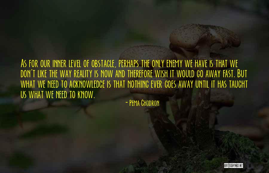 Suppositories For Babies Quotes By Pema Chodron Suppositories For Babies Quotes By Pema Chodron