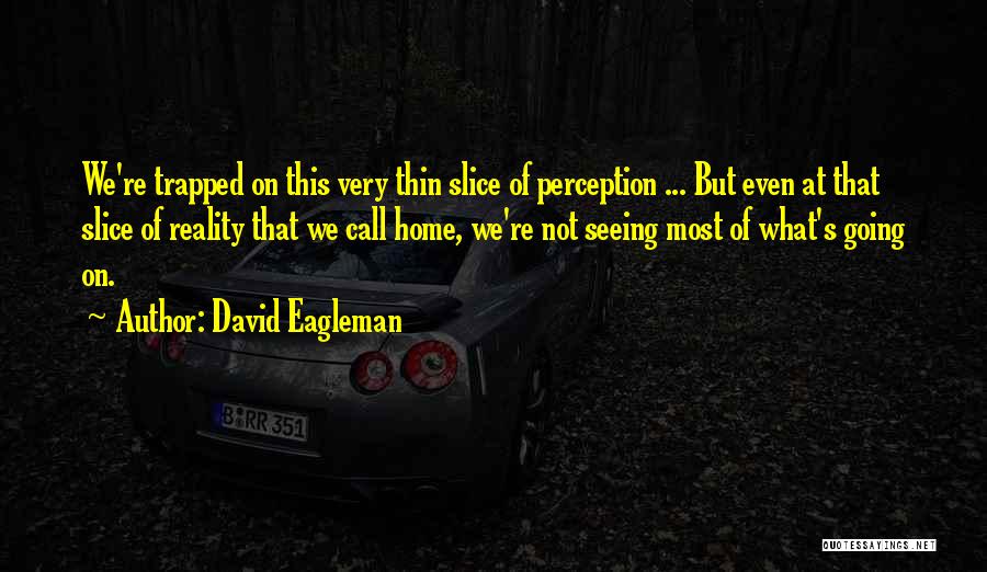 Supra Tele Quotes By David Eagleman