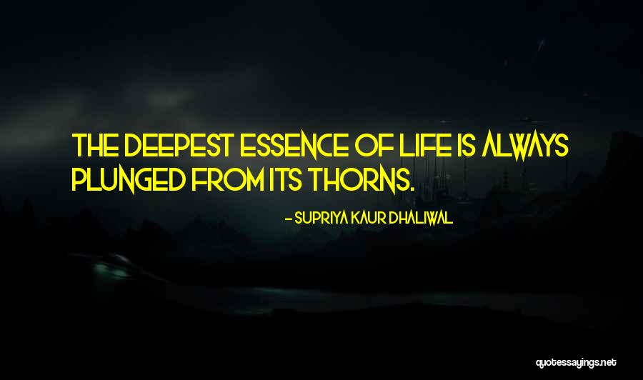 Supriya Kaur Dhaliwal Quotes 1005984 Supriya Kaur Dhaliwal Quotes 1005984