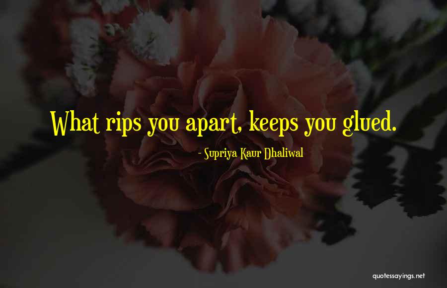 Supriya Kaur Dhaliwal Quotes 1542972 Supriya Kaur Dhaliwal Quotes 1542972