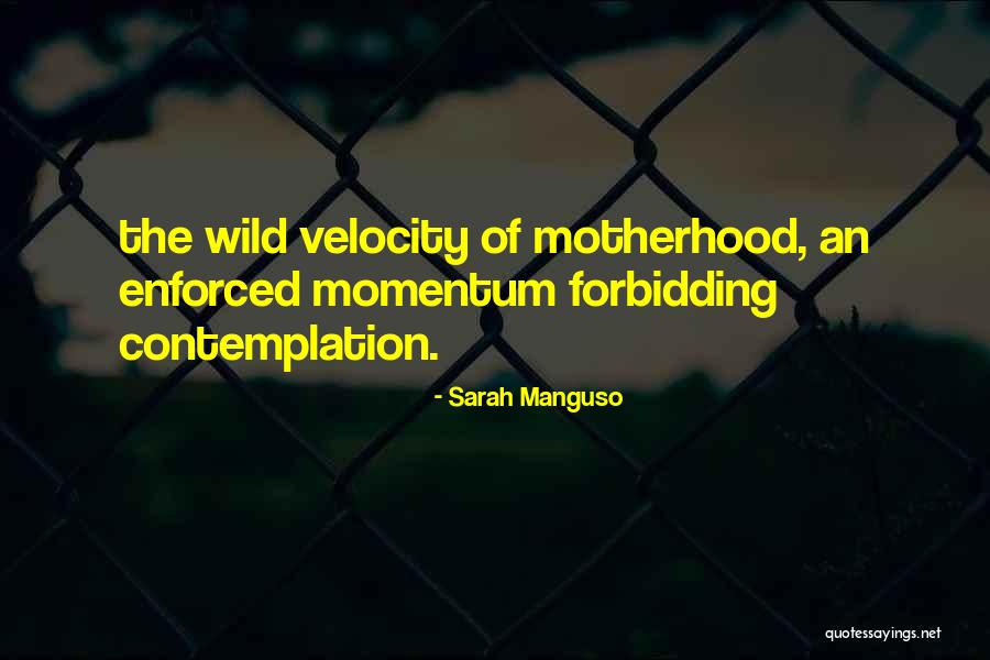 Suquet Amb Quotes By Sarah Manguso Suquet Amb Quotes By Sarah Manguso
