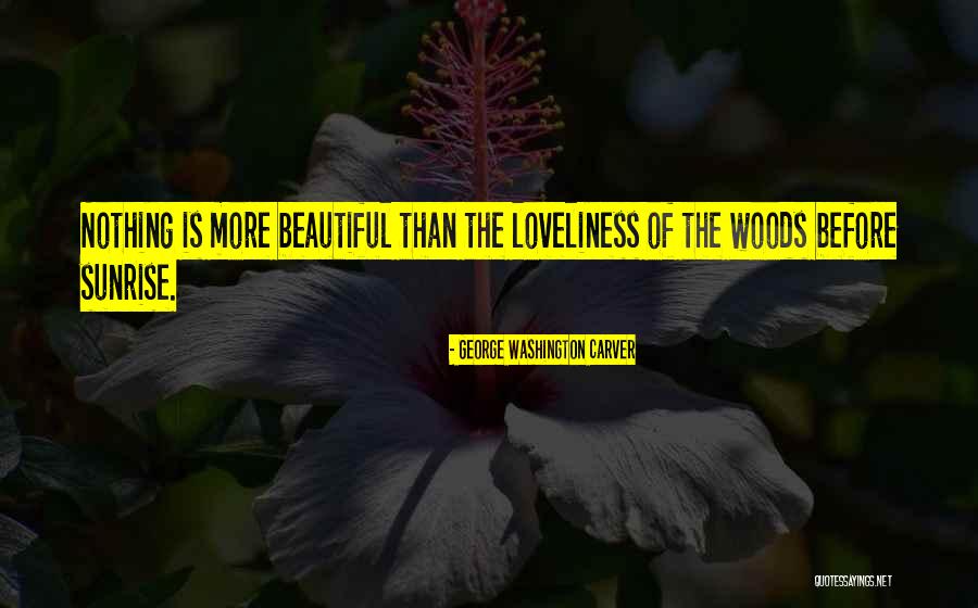 Surabaya Airport Quotes By George Washington Carver Surabaya Airport Quotes By George Washington Carver