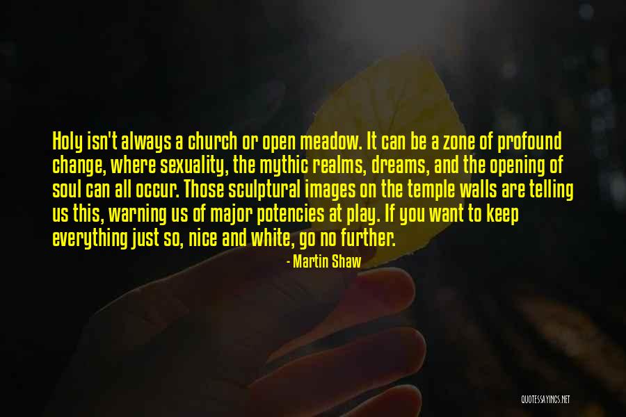 Suraia Quotes By Martin Shaw Suraia Quotes By Martin Shaw