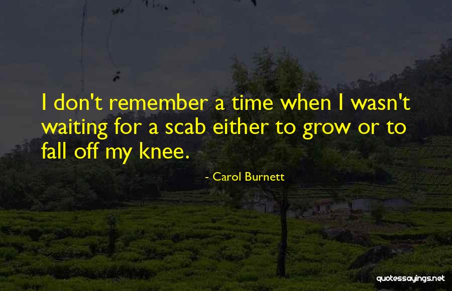 Suraiyya Quotes By Carol Burnett Suraiyya Quotes By Carol Burnett