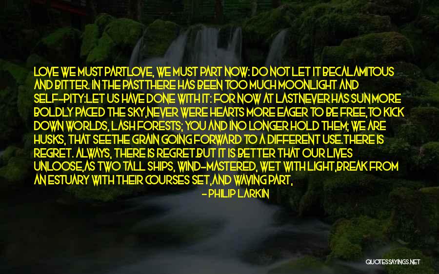 Surangana Games Quotes By Philip Larkin Surangana Games Quotes By Philip Larkin