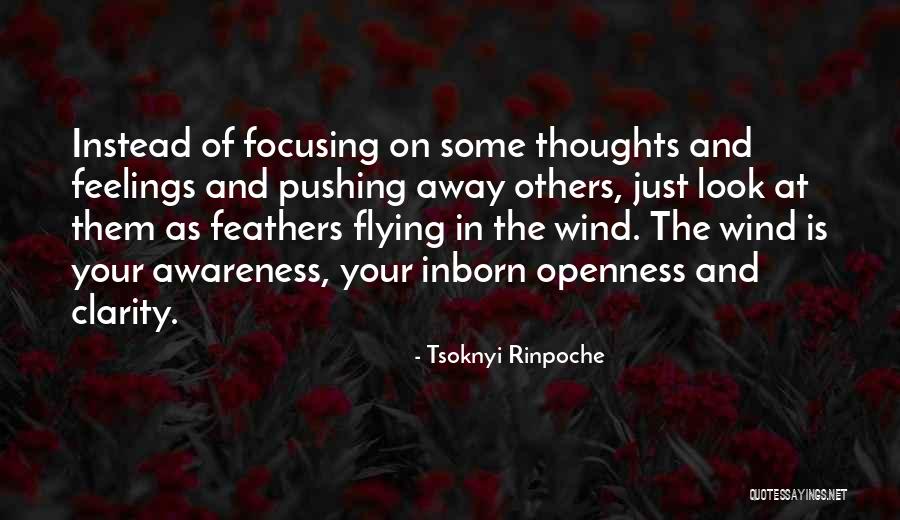 Surasamharam Quotes By Tsoknyi Rinpoche Surasamharam Quotes By Tsoknyi Rinpoche