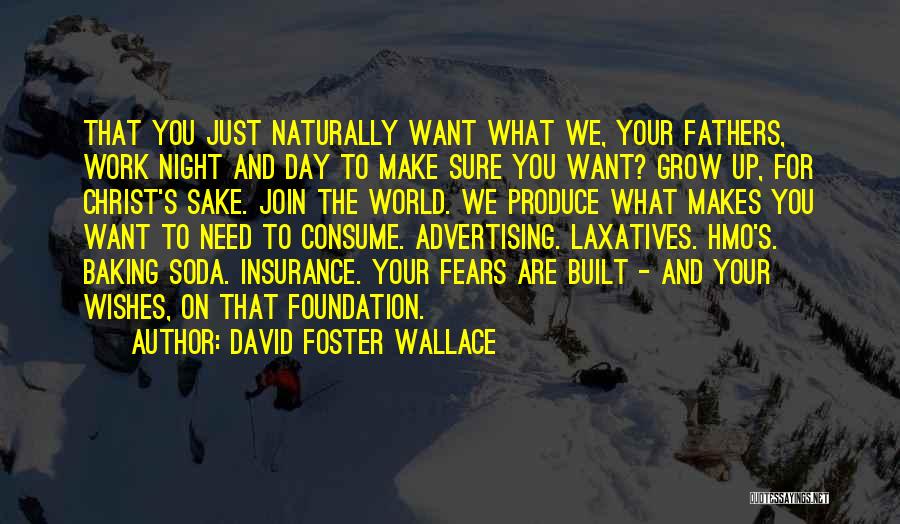Sure Foundation Quotes By David Foster Wallace